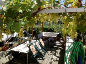 patio-04