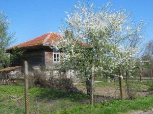 velika-gallery-25